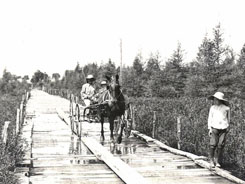 The Plank Road