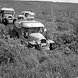 Citroen Half-Track Vehicles