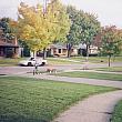 Playing in the 1500 Block of Edith Avenue NE