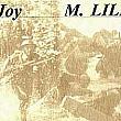 Joy Lillie: Nurse Goes to War