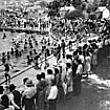 Richmond Park Pool