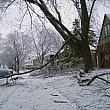Winter Storm Damage on Pontiac SE