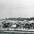 Circus at John Ball Park