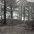 Indian Mounds