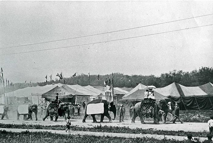 Circus at John Ball Park