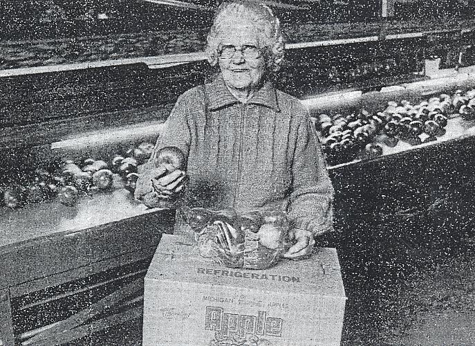 Aleta Brown at Jack Brown Produce