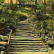 Rustic Stairs at John Ball Park