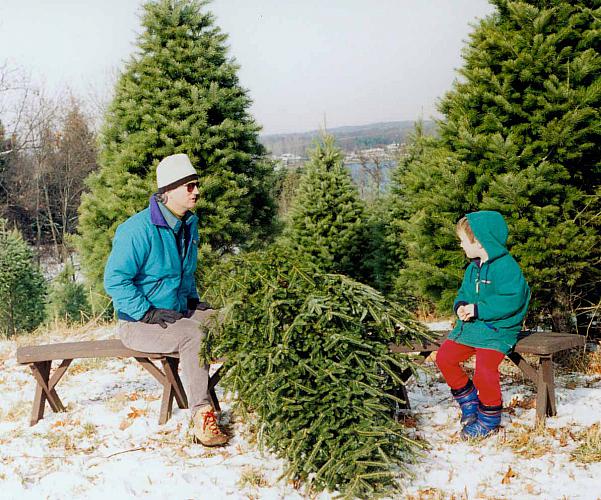 Cutting a Christmas Tree at a Tree Farm