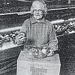 Aleta Brown at Jack Brown Produce