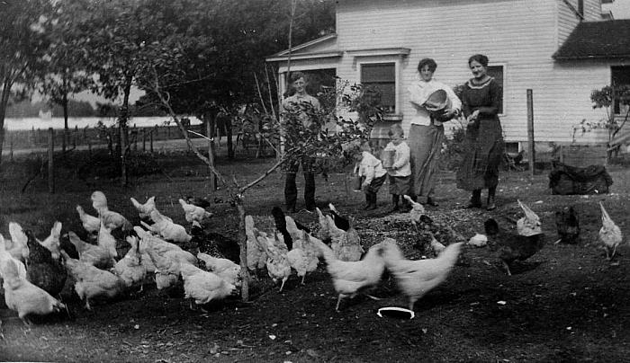 Family Farm with Chickens