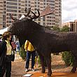 ArtPrize, "Moose"