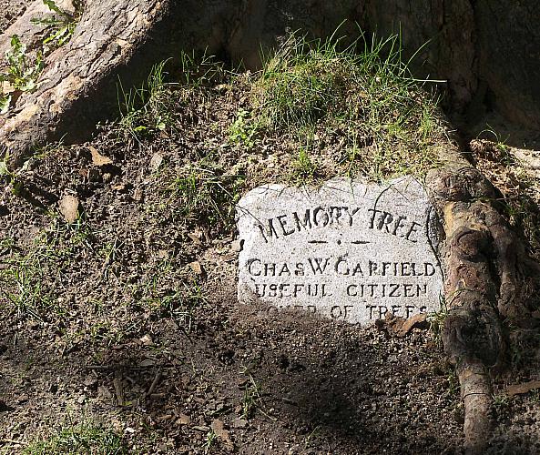 Charles W. Garfield Grave