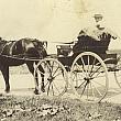 Bob VanHammen Driving a Horse and Carriage