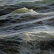 More About Ran Ortner, 1st place