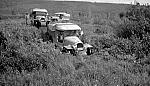 Citroen Half-Track Vehicles