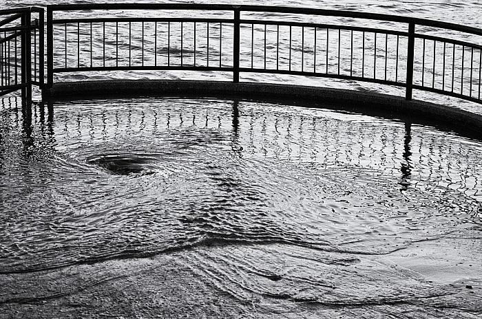 Flood: Returning to the Grand River