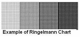 Ringelmann Chart